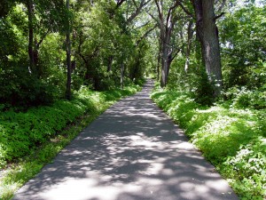 Capital City State Trail