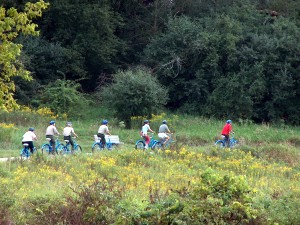 blue bikes (24)