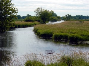 Nine Springs Creek