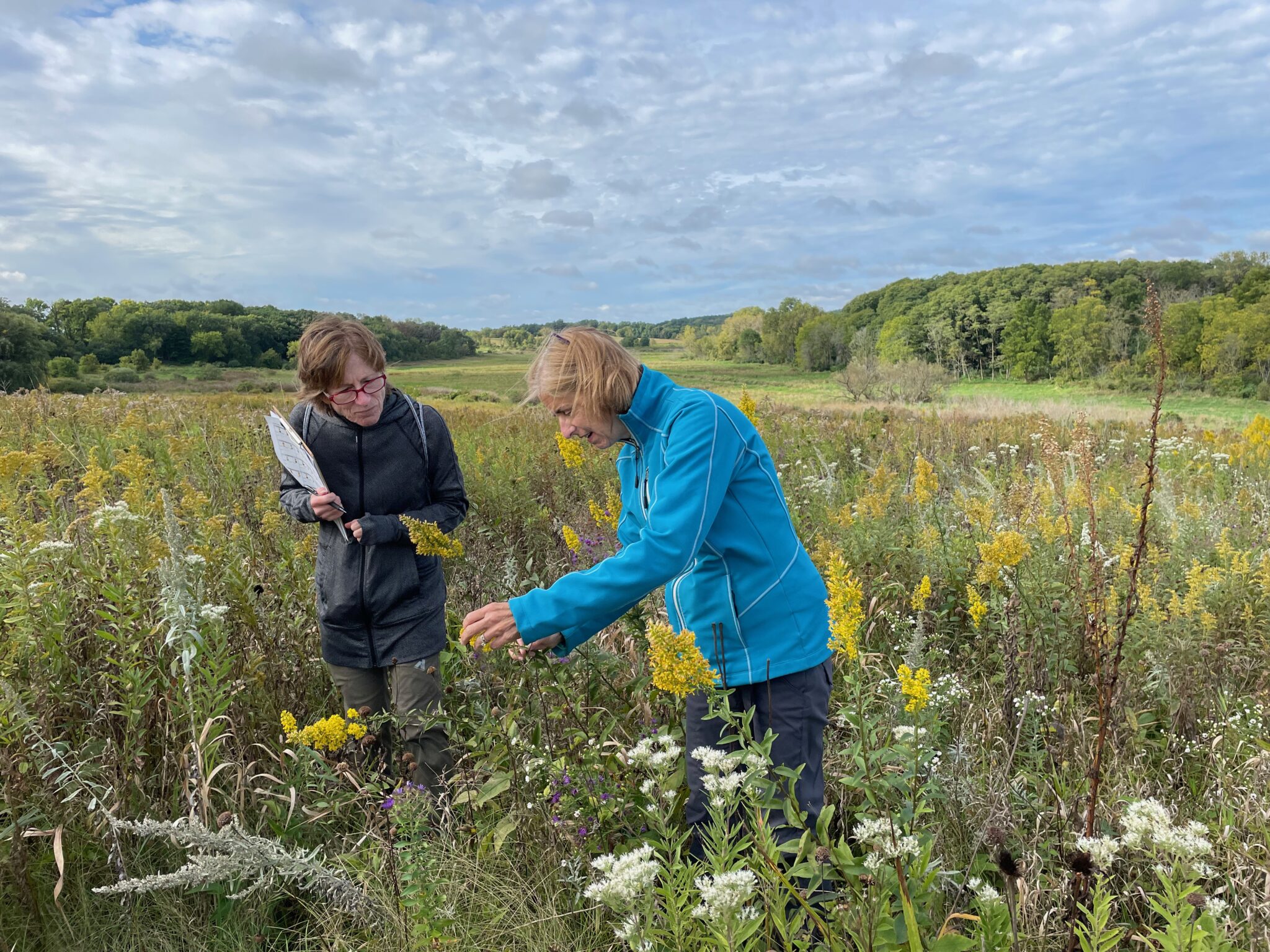 Friends of Capital Springs Recreation Area